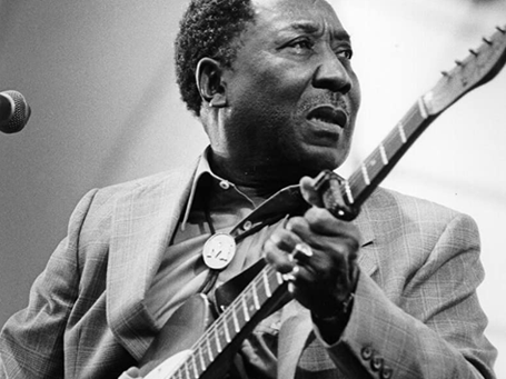 Muddy Waters